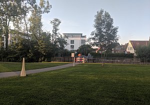 20190710_062908